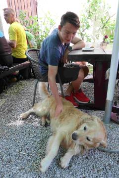 Druženje s štirinožnimi kosmatinci